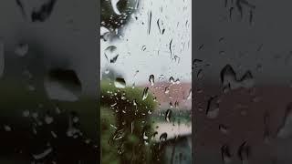 Alf wardhana rainy days