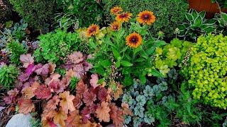 Weekly Garden Tour and Walkabout // Suburban Oasis