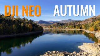 Cinematic Autumn Vibes With The DJI Neo