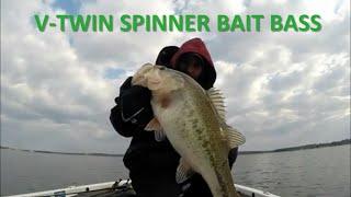 Lake Anna Bass Caught on a Unique V-TWIN Spinner Bait
