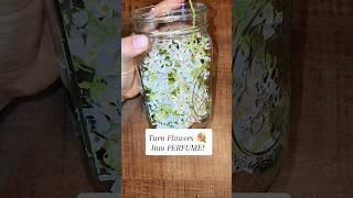 Turn Flowers into PERFUME! Check out the description for the health benefits. 