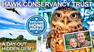 Hawk Conservancy Trust, Hampshire | Falconry & Bird of Prey Displays | Day Out Review | Travel Vlog