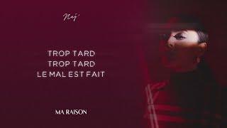 NEJ' - Ma Raison (Lyrics Video)