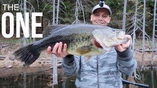 We all dream of it. 3 year journey to new personal best. GIANT Northeast bass on topwater swimbait.