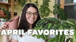 APRIL HOUSEPLANT FAVORITES! | happy fussy plants, self-watering pots, and repotting essentials! 🪴