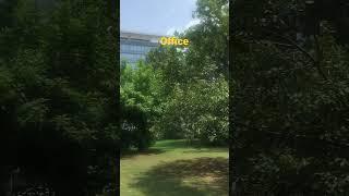 #viral #gurugram #gg7 #office #movement #youtubeshorts #