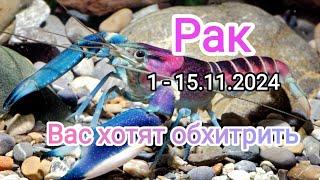 РАК 1 - 15.11.2024 Тароскоп 