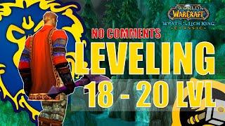 WOTLK Classic Leveling Alliance Guide (Paladin) [18-20] One hour preparation WoW [4K,ASMR]