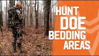 Rut Hunting 101: How to Hunt Doe Bedding Areas