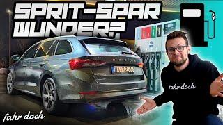 Skoda Octavia 2.0 TDI Combi 2021 | Pendler ALLTAG Verbrauchscheck | Fahr doch