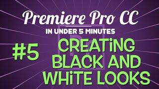 Make a Black & White Video in Premiere Pro