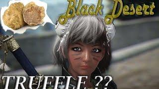 Black desert - Truffle . Где добыть Трюфель?