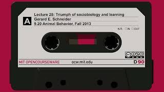 Lec28: Triumph of sociobiology and learning