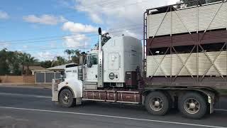 Kenworth T909 Road Train Jake Brake