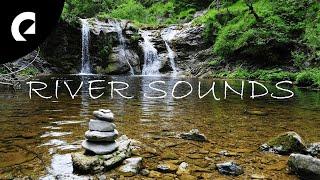 30 Minutes of Relaxing River Sounds - Flowing Water and Forest Creek Ambience ️