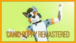 Canid Puppy (Avatar remastered)