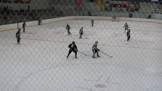 Pinckney scores vs Skyline 12-16-17