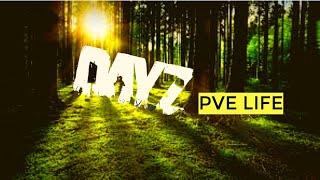 DAYZ - сервер PVE LIFE | В шкуре игрока | Дневник разработчика.