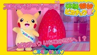 【ポケモン公式】体験探検ピカチュウ部！「ストロベリーのテーマパーク編」－ポケモン Kids TV