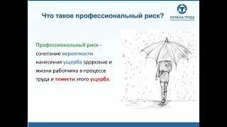 Управление профессиональными рисками. Вебинар 24.09.2020