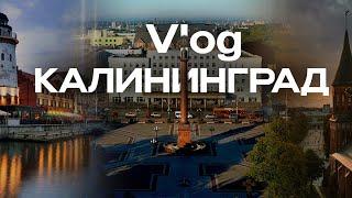 Семейная поездка в Калининград и область в июне 2024, увлекательно, познавательно