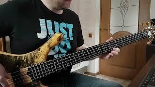 Vitaliy Shaposhnikov - Turf Smoke, bass cover