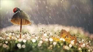 Terence McKenna Chillstep Mix / 1 Hour