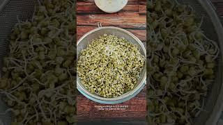 Moong Sprout Salad, Sprout Salad Recipe, How to make sprouts at home