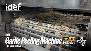 Garlic Peeling Machine, Garlic Peeler, Peeling Machine, Garlic, IDEF