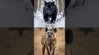 Animal VS Animal  #animals #viralmusic #cute #animalcomparisons #1millionviews