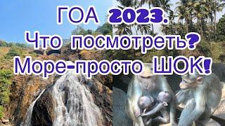 ГОА 2023. Что можно посмотреть? Море просто шок!