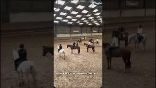 La deuxième vidéo c'était la première fois que je la montais #sweetie #horse #chevaux