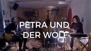 petra und der wolf - Flies (Studio A Session)