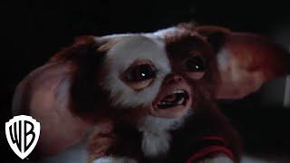 Gremlins 2: The New Batch | Gremlins Multiply | Warner Bros. Entertainment