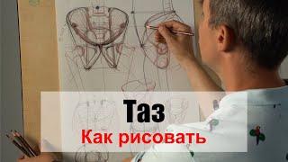 Как рисовать "Таз" /часть 1/ - А. Рыжкин