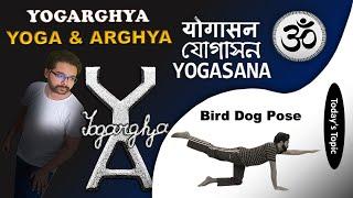 Yogarghya Post (7) - How To Do Bird Dog - BirdDogYoga