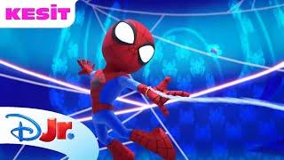  Kelebeklerin Uçuşu | Marvel Spidey ve İnanılmaz Arkadaşları | Disney Kids Türkiye