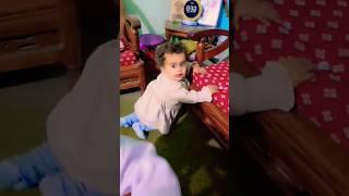 A Day in the Life of Twins