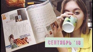 ПЛАНИРУЕМ СЕНТЯБРЬ | МОЙ ЕЖЕДНЕВНИК | Areen