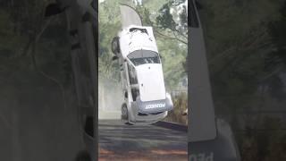 Wrc or Dirt Rally 2.0?