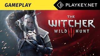 The Witcher 3: Wild Hunt gameplay on Playkey.net