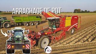 ARRACHAGE de POMMES de TERRE | MAGNIFIQUE 7250 TTV CUSTOM