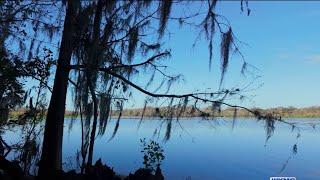 DeBary to open massive, ‘one-of-a-kind’ Alexander Island nature park. What to expect