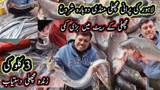 **Open Fish Market Lahore** Wholesale Prices Big Fish || Fish Market Bhatti Gate Lahore