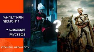 Вся правда о жизни шехзаде Мустафы. Почему Сулейман казнил сына и его наследников.