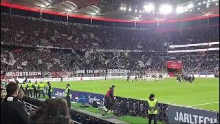 50.000 Frankfurt Fans feiern 7-2 Gala gegen Bochum I Bundesliga November 2024