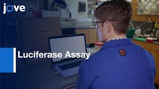 Proteolysis of Protease PCSK9 Evaluation by Luciferase Assay | Protocol Preview
