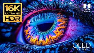 Explosive Colors 16K HDR 120 FPS Video - Dolby Vision (4K / 8K TV)