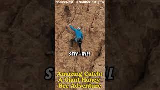 "Amazing Catch: A Giant Honey Bee Adventure" #GiantHoneyBee #AmazingCatch #BeeAdventure#SaveTheBees