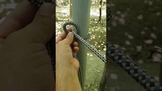 Amazing Knot! #knot #rope #ideas #diy #amazing #tools #tips #survivalknots